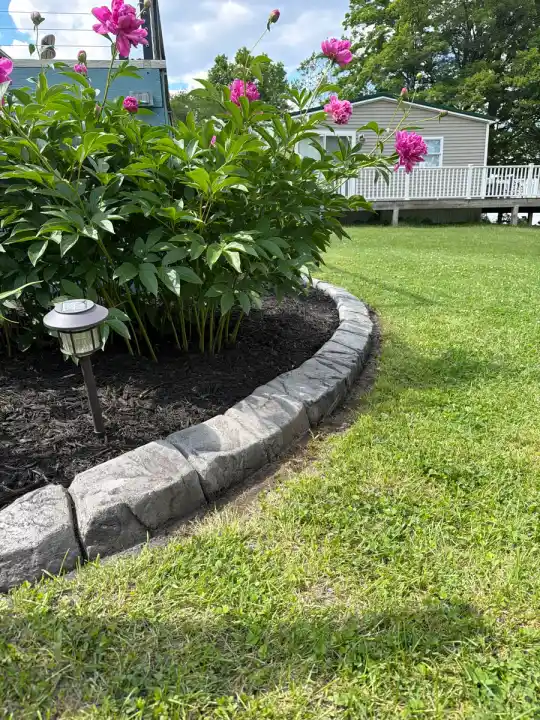 Stamped stone curbing edging a garden bed with blooming peonies